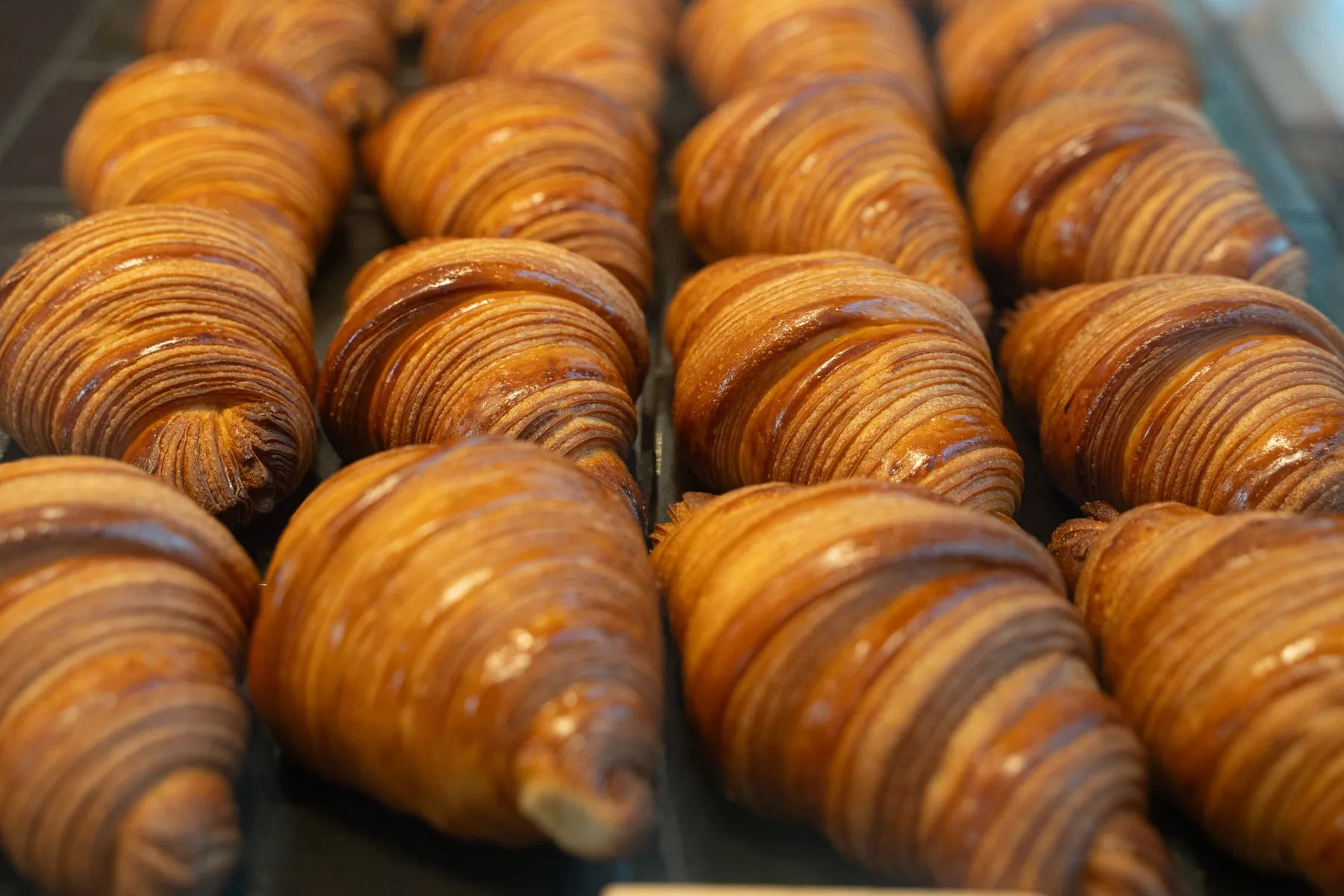 Croissants dorés sortis du four, en vitrine